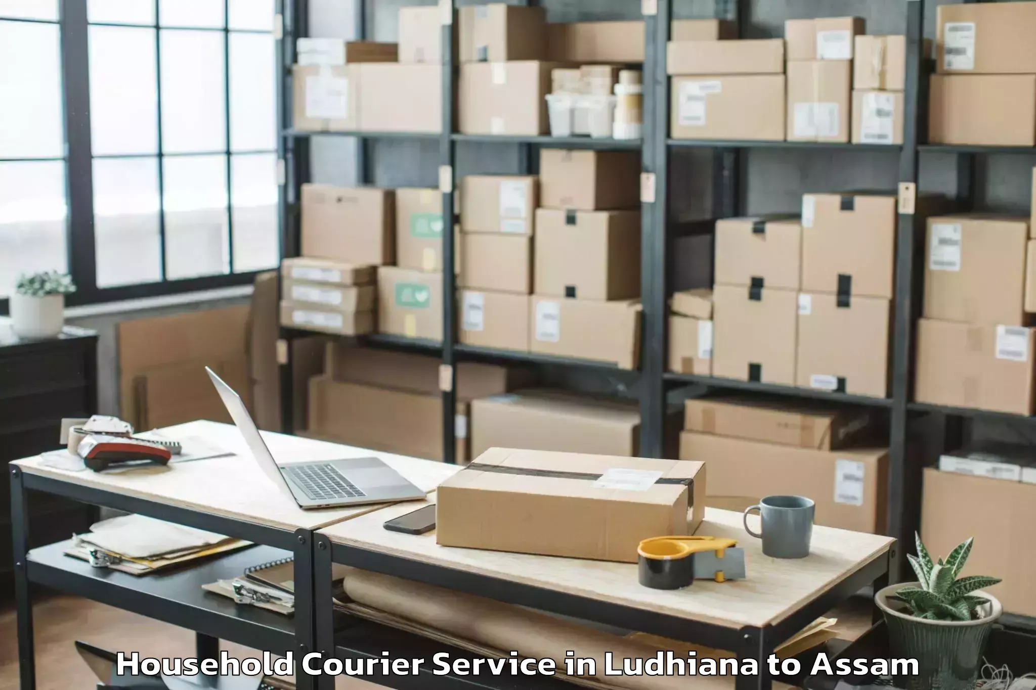 Book Your Ludhiana to Haflong Household Courier Today